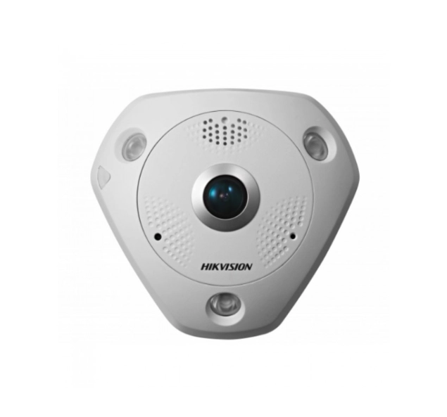 IP-Fisheye-CCTV-Cameras installation